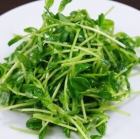 Stir-fried bean seedlings
