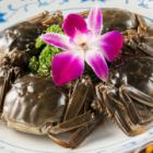 취한 게(10월-1월의 계절 한정)