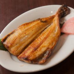 시마 호케 열기