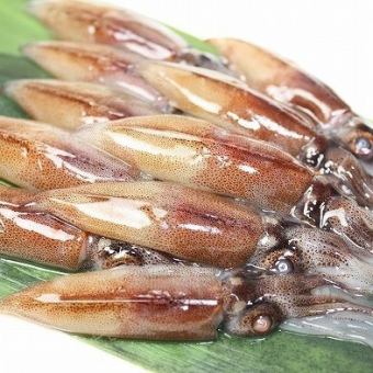 Katsuota Taki / Raw firefly squid (5 cups)