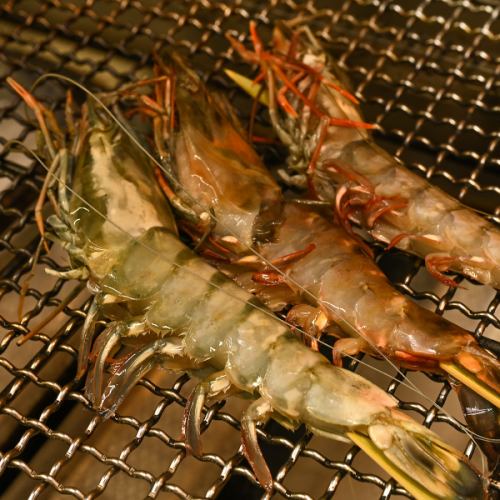 超特大 海老の姿焼き