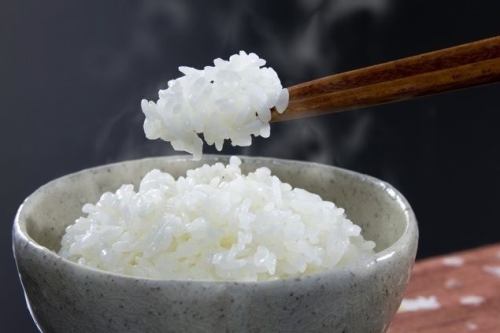 ご飯