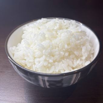 白ご飯