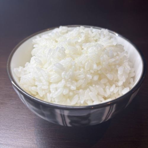白ご飯