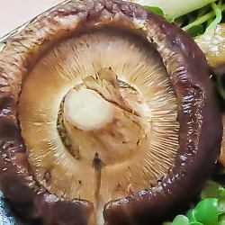 【炭火焼】肉厚しいたけ 2コ