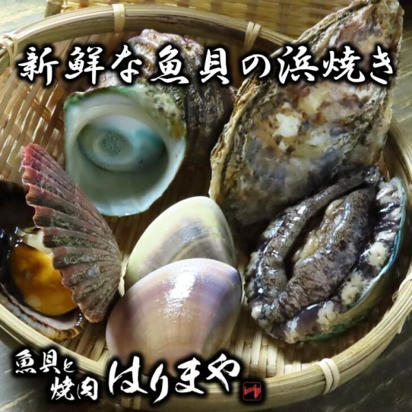 【魚貝と焼肉　はりまや】美味しい活き貝の数々♪ご注文いただいてから生け簀からpickup！