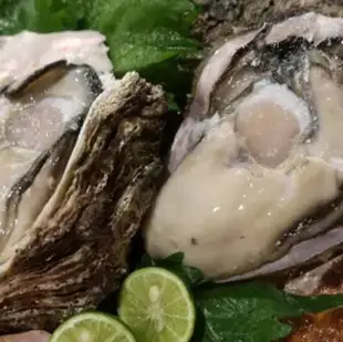 【岩牡蠣付き】大将イチオシコース90分飲み放題付き8,800円(税込)
