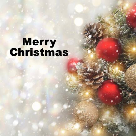 ☆クリスマス☆8500円コース