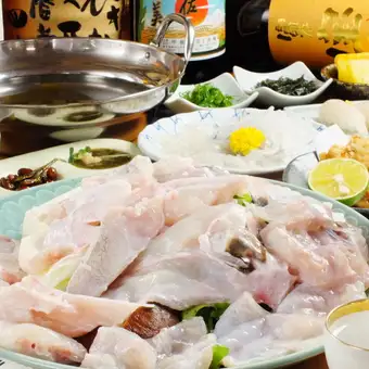 【超值优惠】【我们的特色】活虎河豚课程