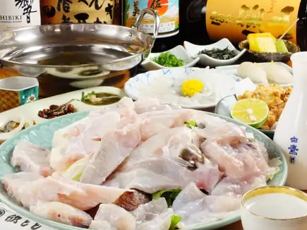 【超值优惠】【我们的特色】活虎河豚课程