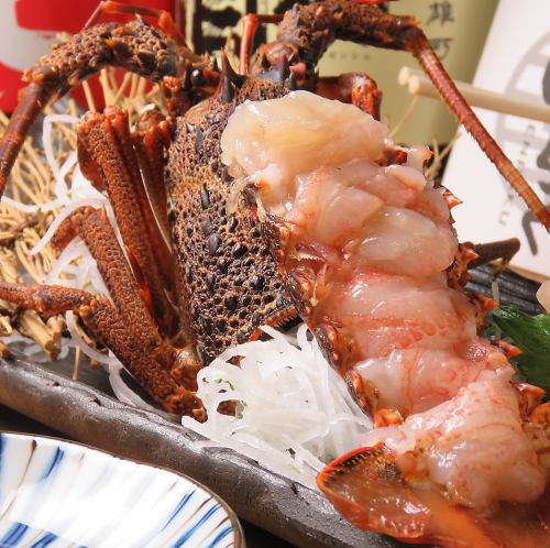 不僅肉類!!超級新鮮☆還有龍蝦生魚片的豪華套餐。