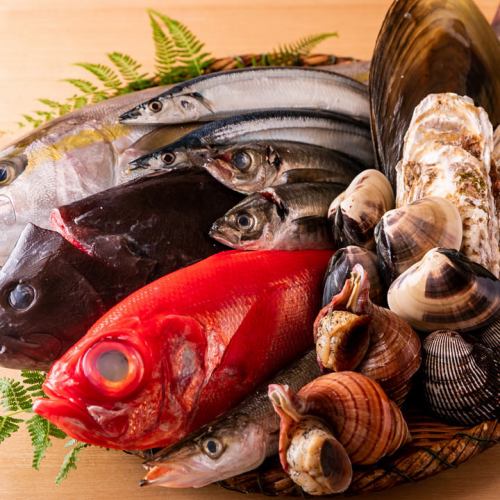 立川市受歡迎的魚類批發商“新鮮”選擇的各種新鮮魚類
