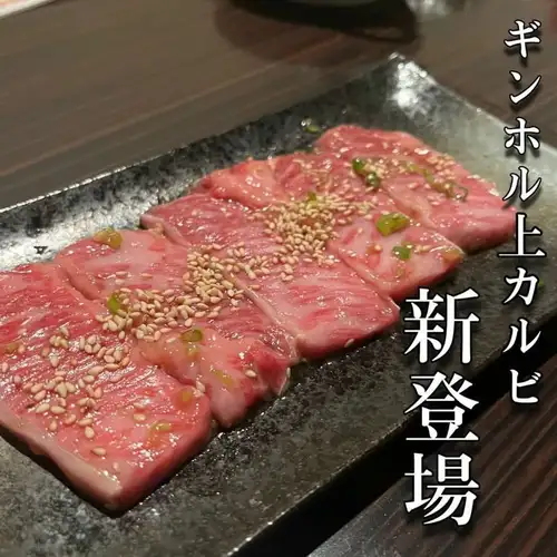 ギンホルカルビ