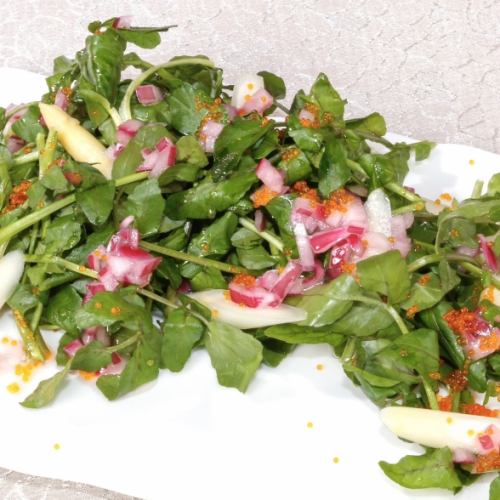 Watercress and white asparagus salad ~Red onion sauce~