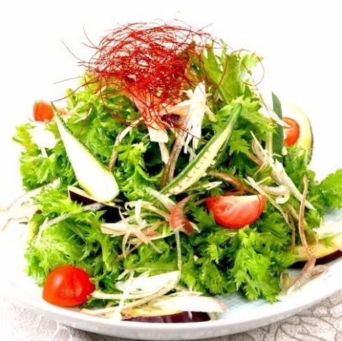 Salad of Mizunasu, Okra, and Summer Condiments with Sesame Miso Dressing