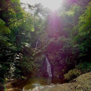 世界自然遺産　沖縄の命水〈七滝の水〉～出汁へのこだわり～