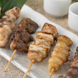 Assortment of 5 pieces of yakitori