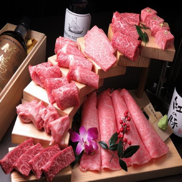 Recommended for celebrations and anniversaries! The 90-minute all-you-can-drink Tajima beef tiered course starts at 7,000 JPY (incl. tax)