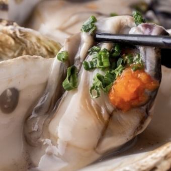 期間限定！【生牡蠣食べ放題コース】1H2980円でおつまみも食べ放題！飲み放題も別料金でつけれ