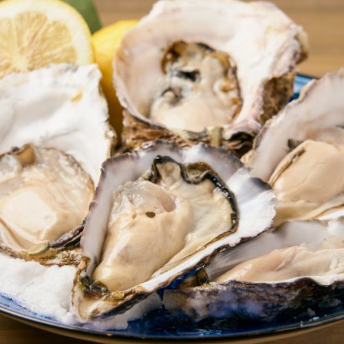 横浜市場直送のブランド生牡蠣！他にも豊富な牡蠣料理♪