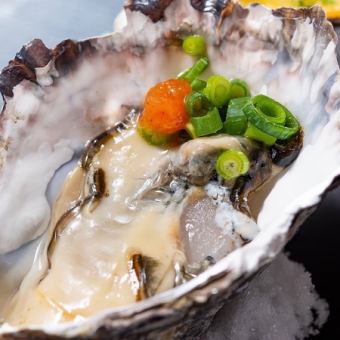 17時まで【ハッピーアワー限定】生牡蠣食べ放題コース1.5H3,980円！飲み放題付き♪日曜日祝日も