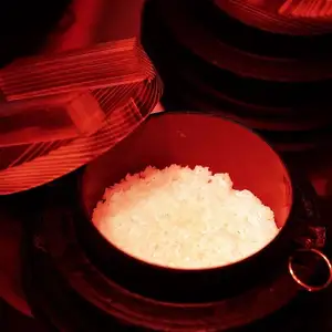新鲜煮熟的白米饭