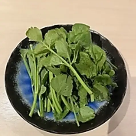 추가 속재료
