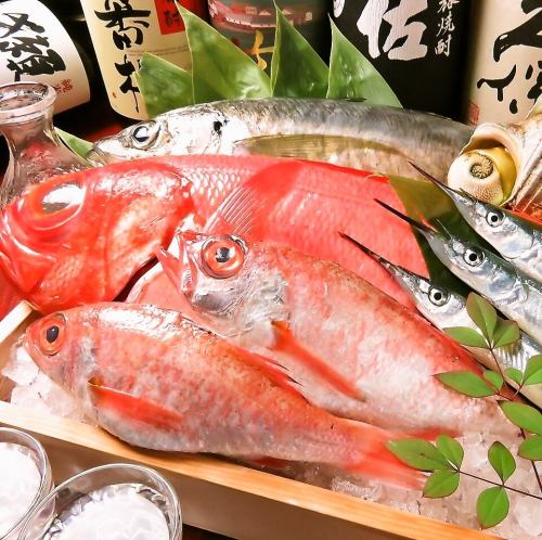 请品尝直接从市场寄来的新鲜生鱼片。