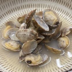 あさりの酒蒸し