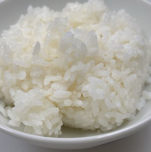 白ごはん