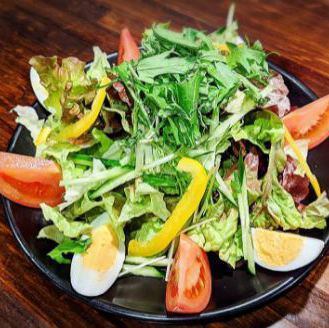 Vegetable salad Japanese style or sesame dressing