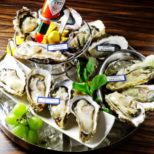 Many oysters delivered directly from the source