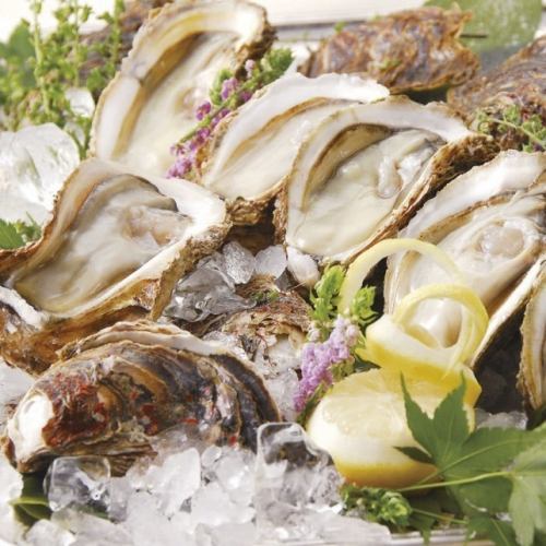 Today's Fresh Oysters: More than 5 varieties delivered daily from across the country