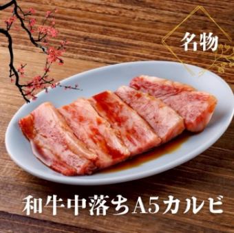 A5 Japanese Black Beef Short Ribs