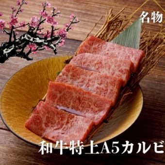 Japanese Black Beef A5 Premium Kalbi