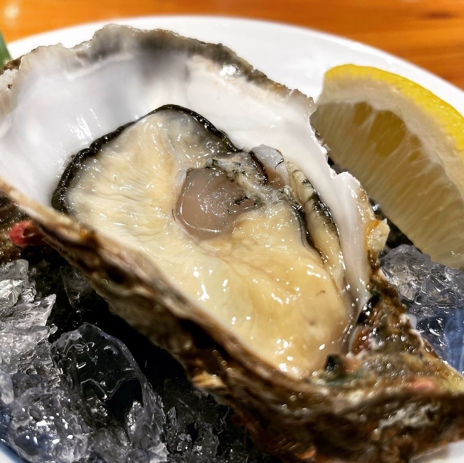 新鮮な海鮮が楽しめるお店【煮込みや　みよし】