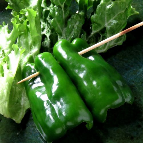 green onion/green pepper/shishito pepper