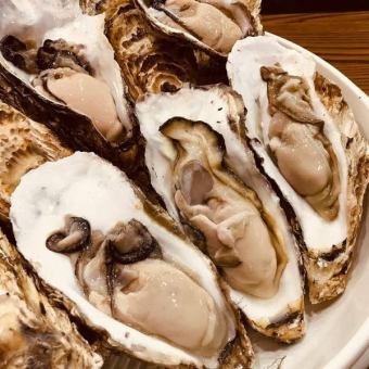 [Click here for all-you-can-eat oysters!] A course where you can enjoy raw oysters, grilled oysters, and steamed oysters♪
