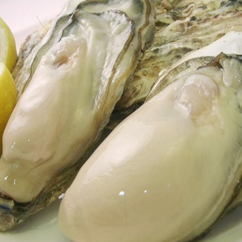 [All-you-can-eat fresh oysters all year round ☆] Raw oysters, steamed oysters, grilled oysters