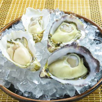 《牡蠣食べ放題はこちら！≫生牡蠣・焼き牡蠣・蒸し牡蠣が楽しめるコース♪