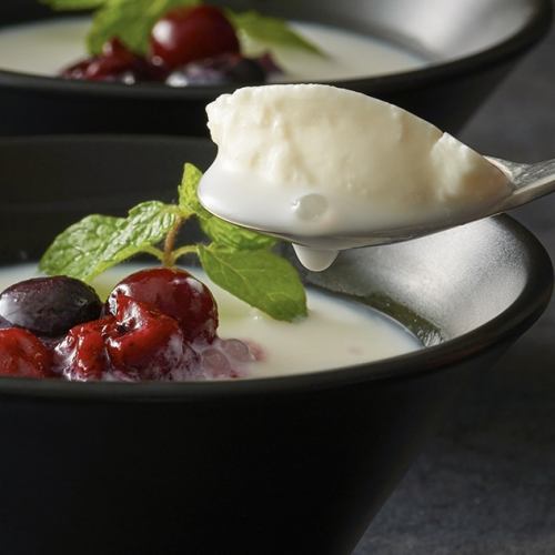 元祖トラジの杏仁豆富