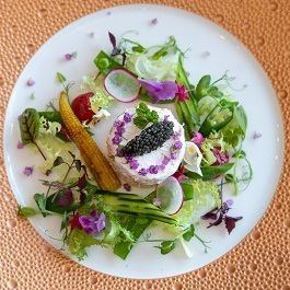 葵スペシャル (活けオマール)お1人様26,000円