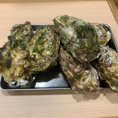 岩手産生牡蠣　1ヶ