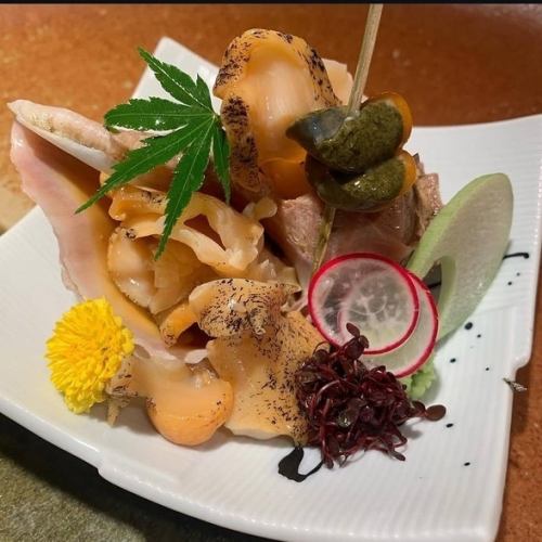 一隻活的完整海螺