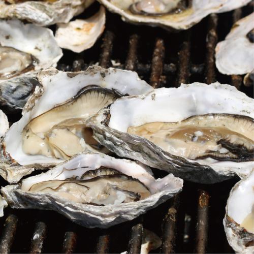 Oysters, a specialty of Hiroshima