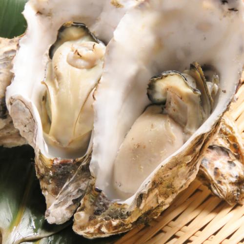 An abundance of fresh seafood, including "oysters from eastern Hokkaido"