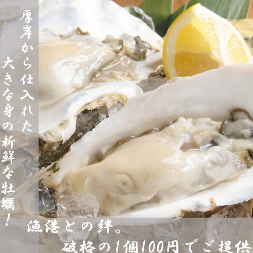 Puripuri Akebono生產牡蠣1日元100日元！