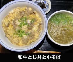 Super delicious beef rice bowl and small soba noodles