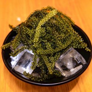海ぶどう