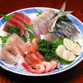 <Our recommendation> Assorted sashimi using seasonal ingredients